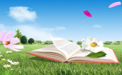Летнее настроение в литературе: Топ книг для солнечных дней и теплых ночей